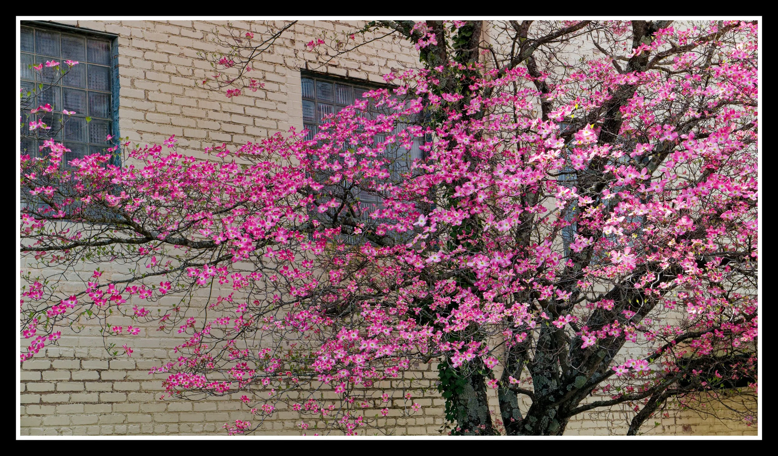L1010593_DxO.jpg