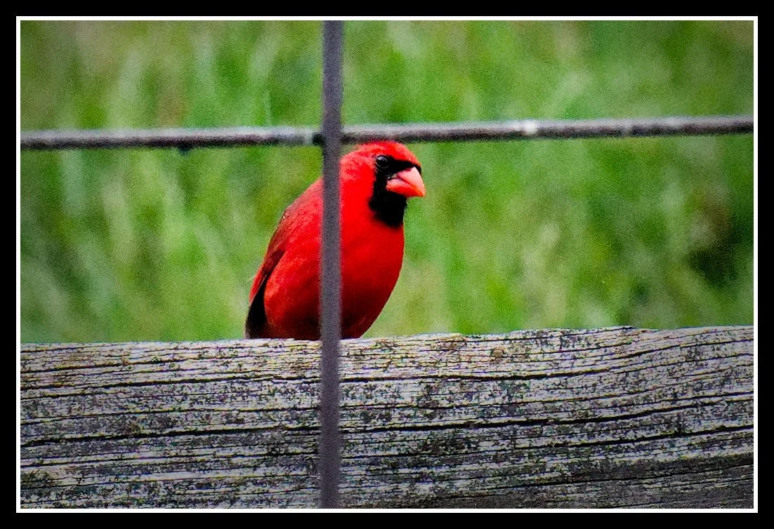 DSC02621_DxO.jpg