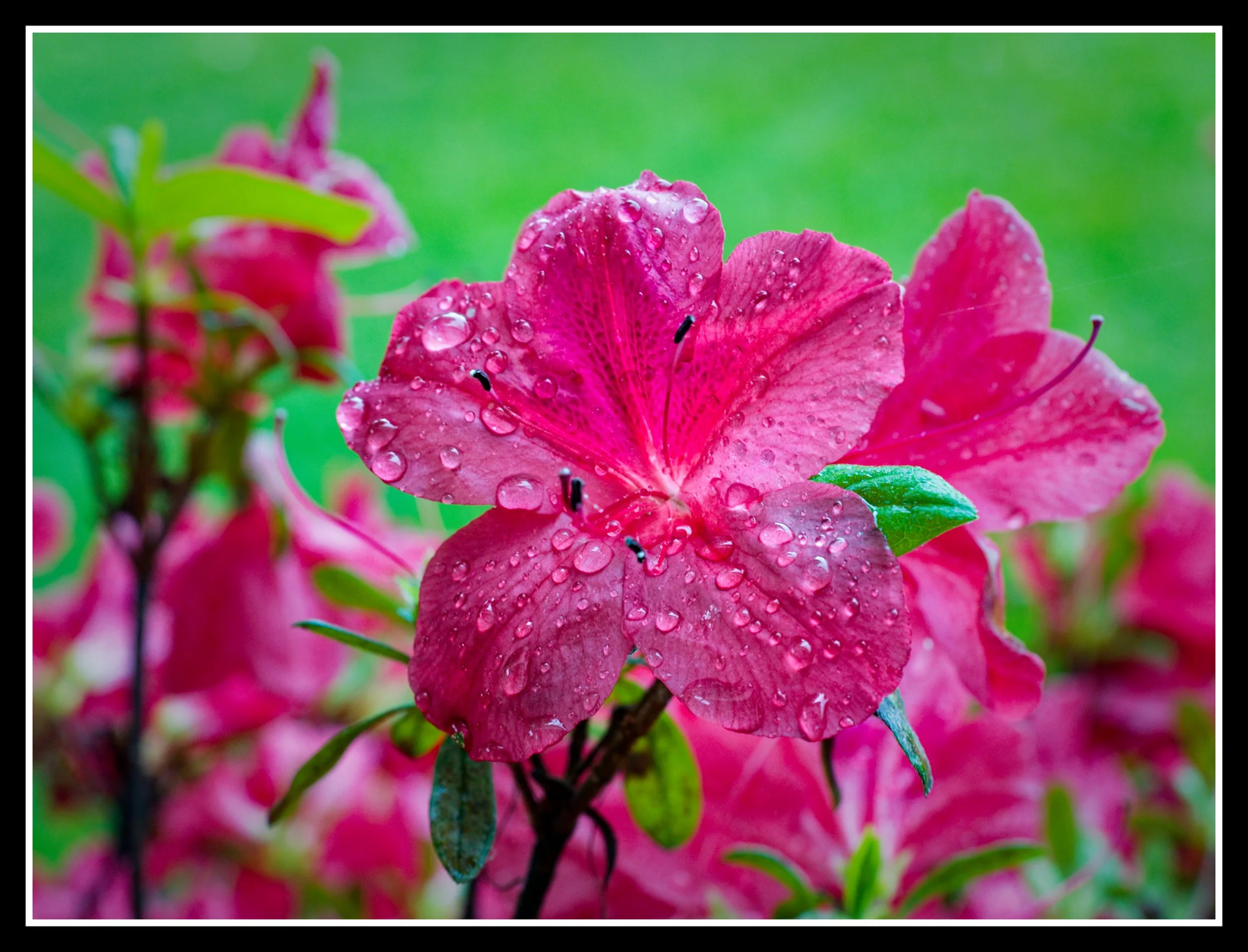 DSC_1290_DxO.jpg