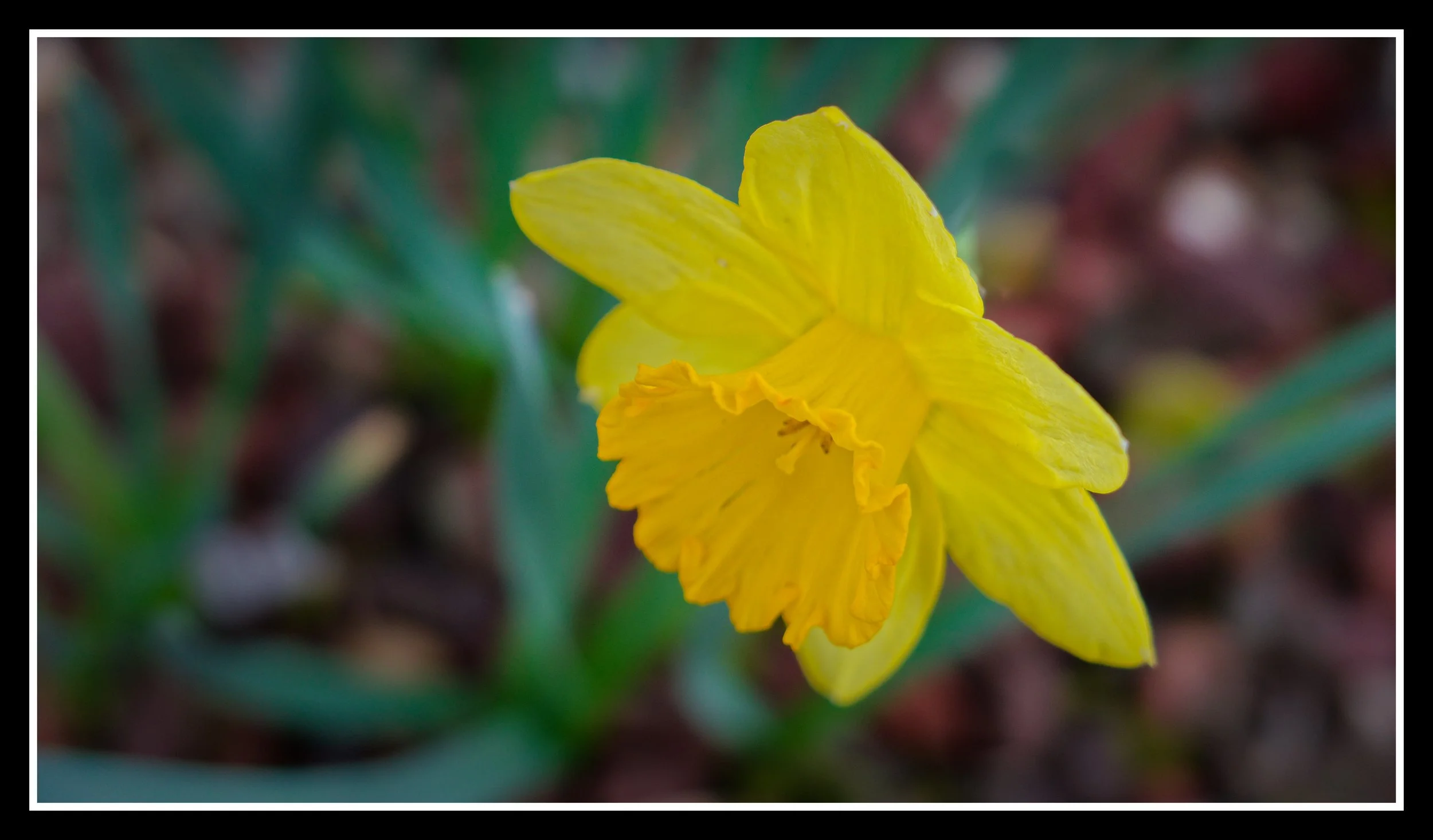 L1010542_DxO.jpg