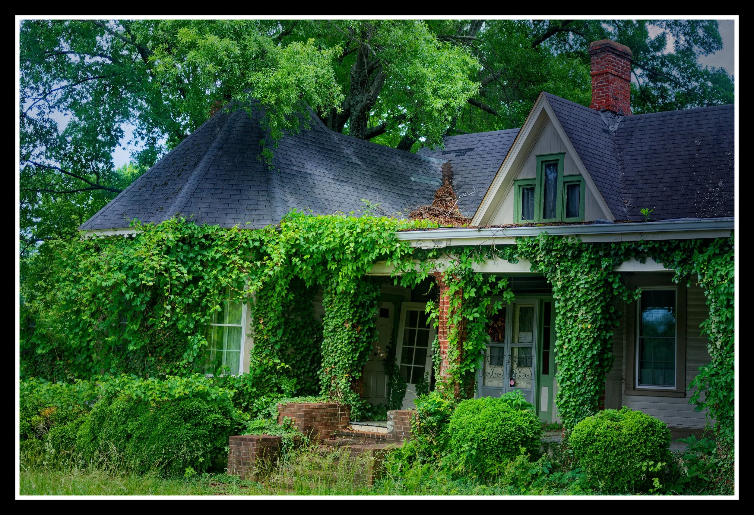 DSC_1311_DxO.jpg