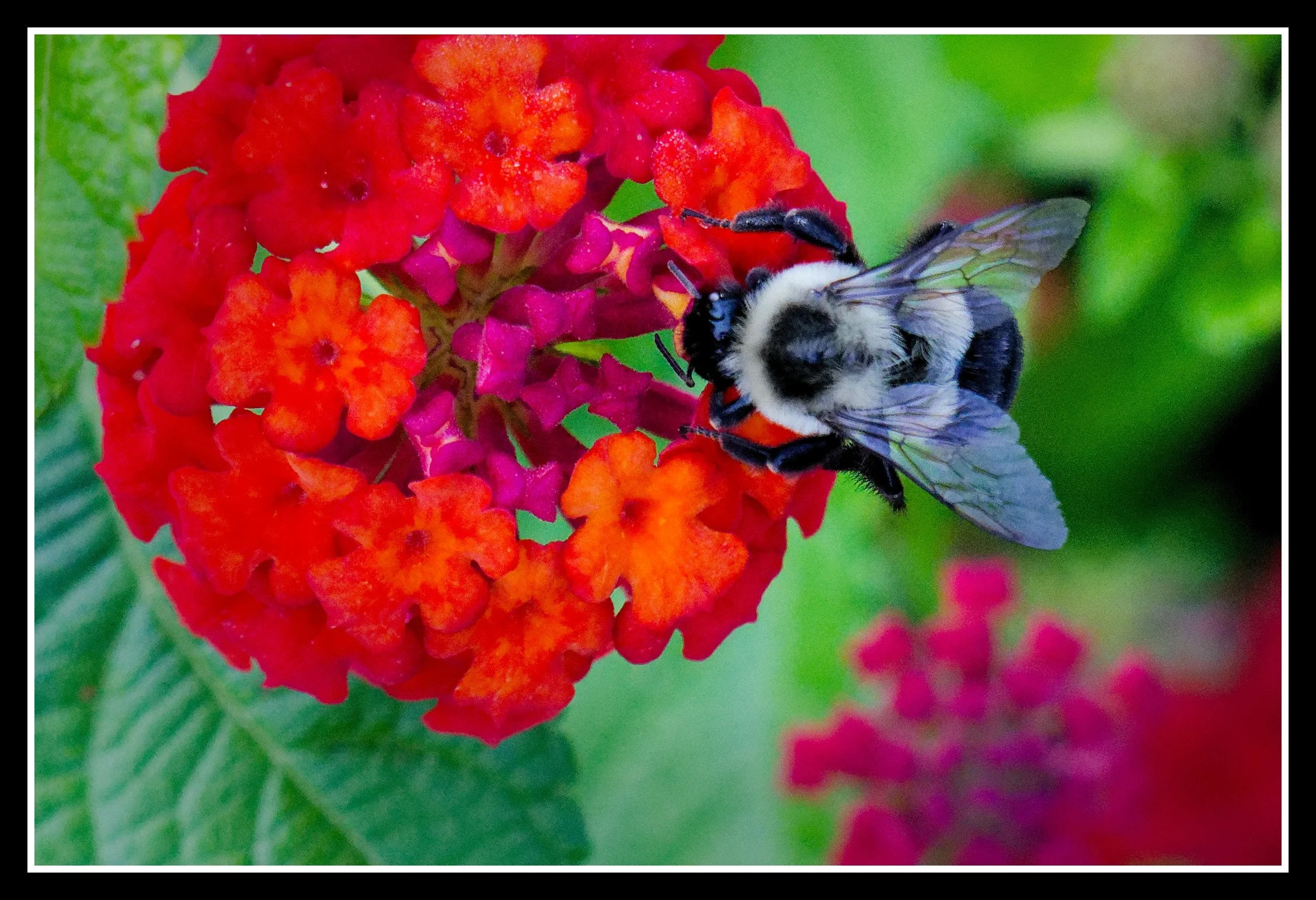 DSC02889_DxO.jpg