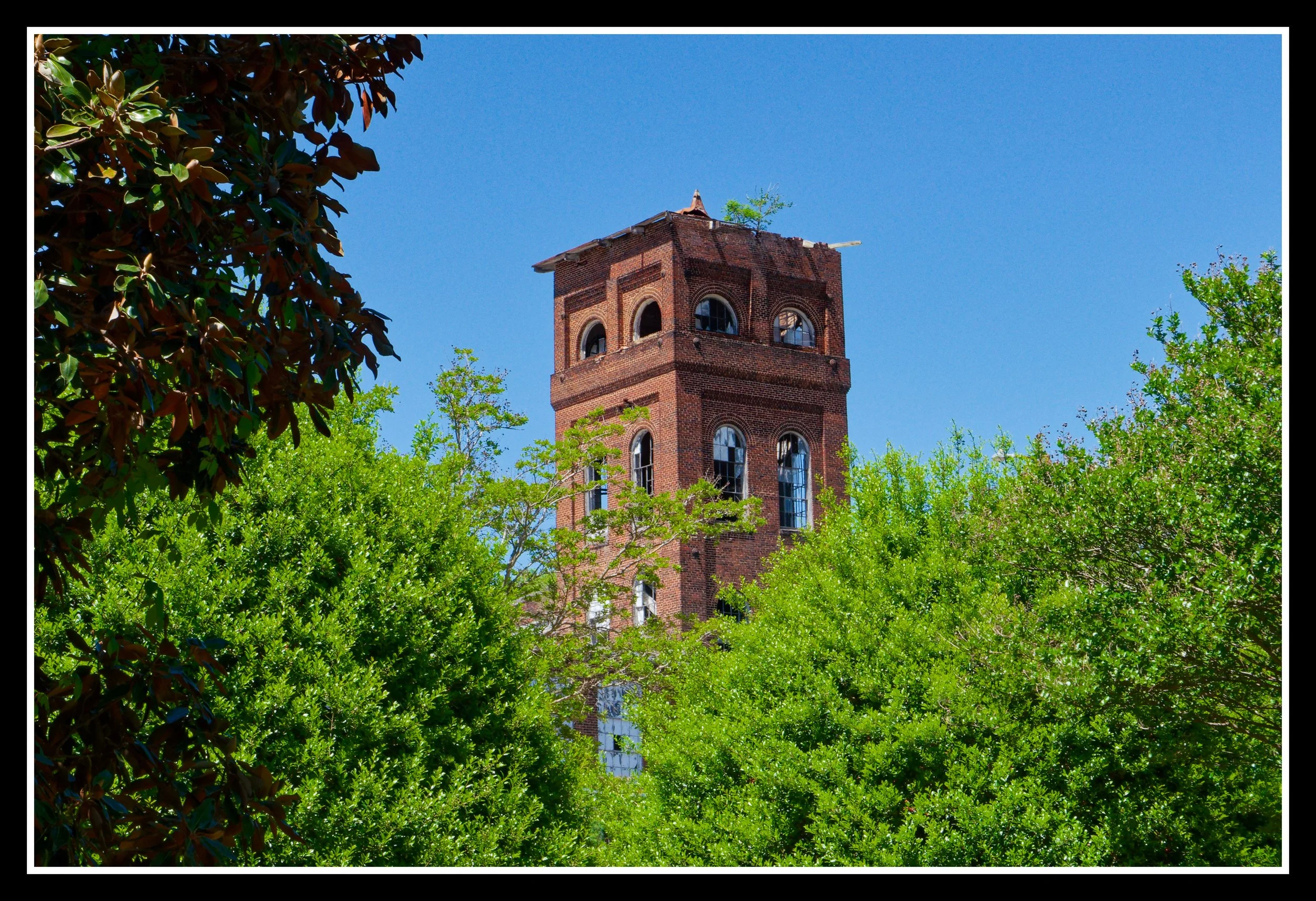 L1010722_DxO.jpg