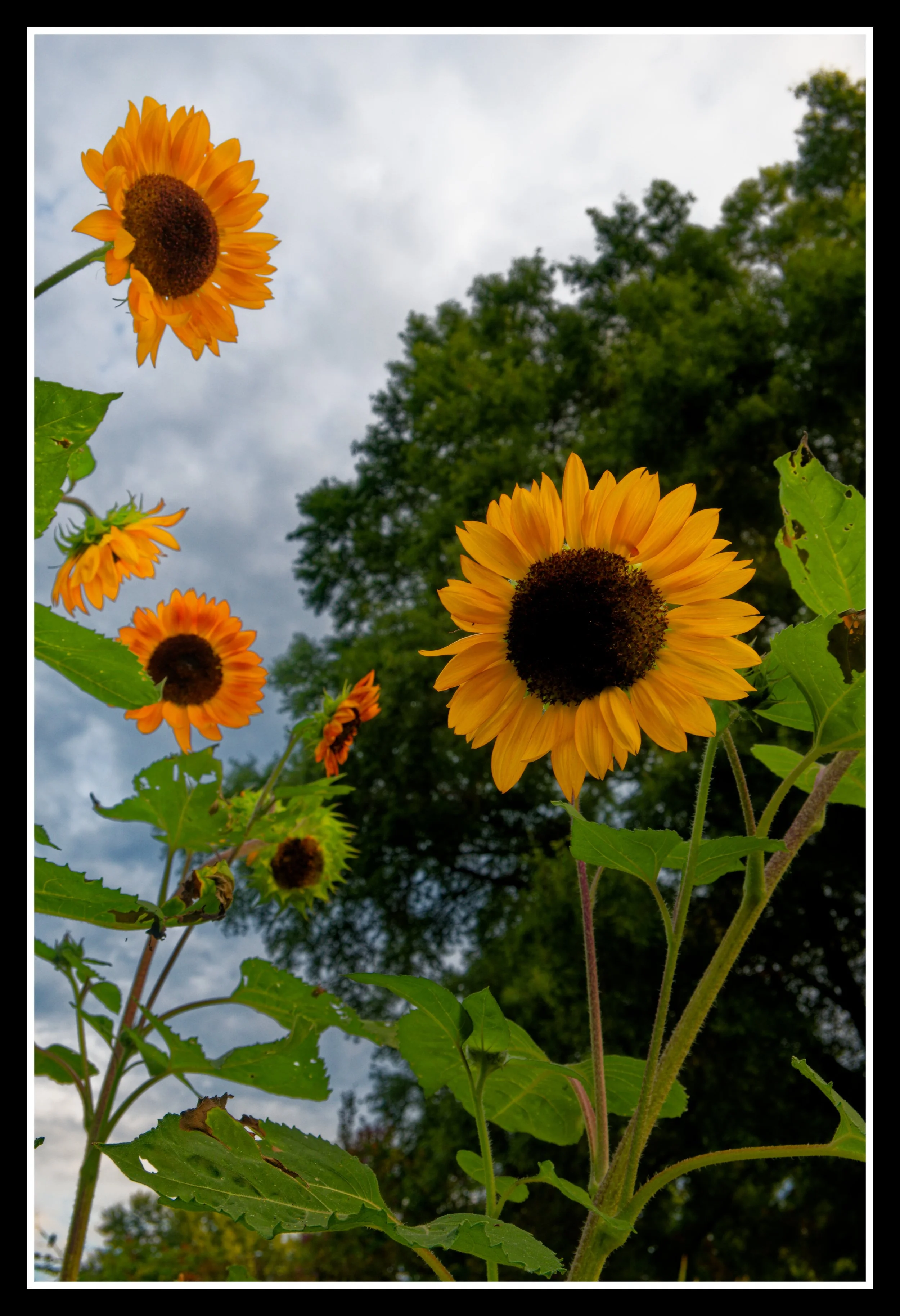 DSC_0060_DxO.jpg