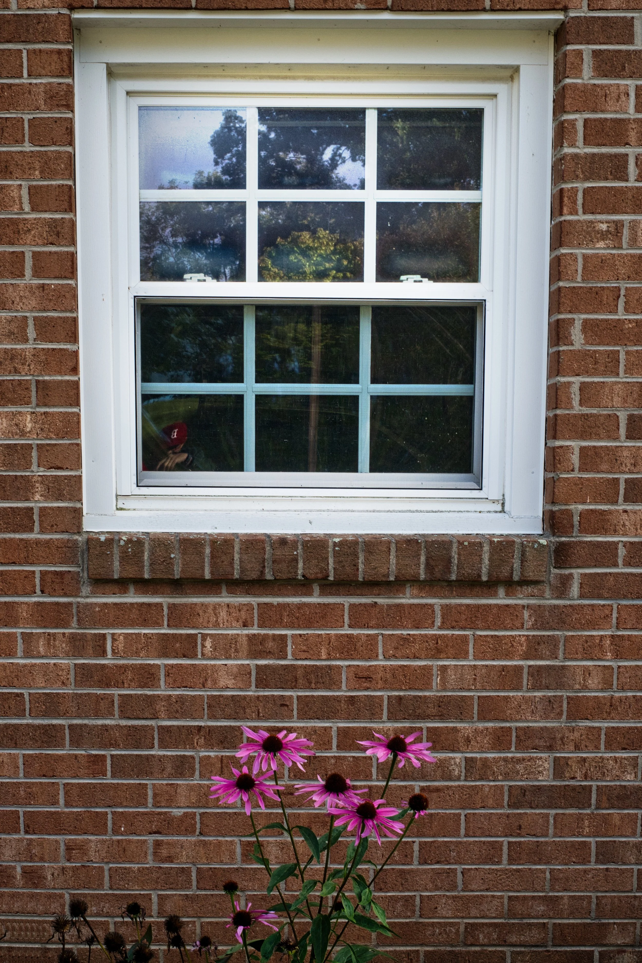 DSC_0255.jpeg