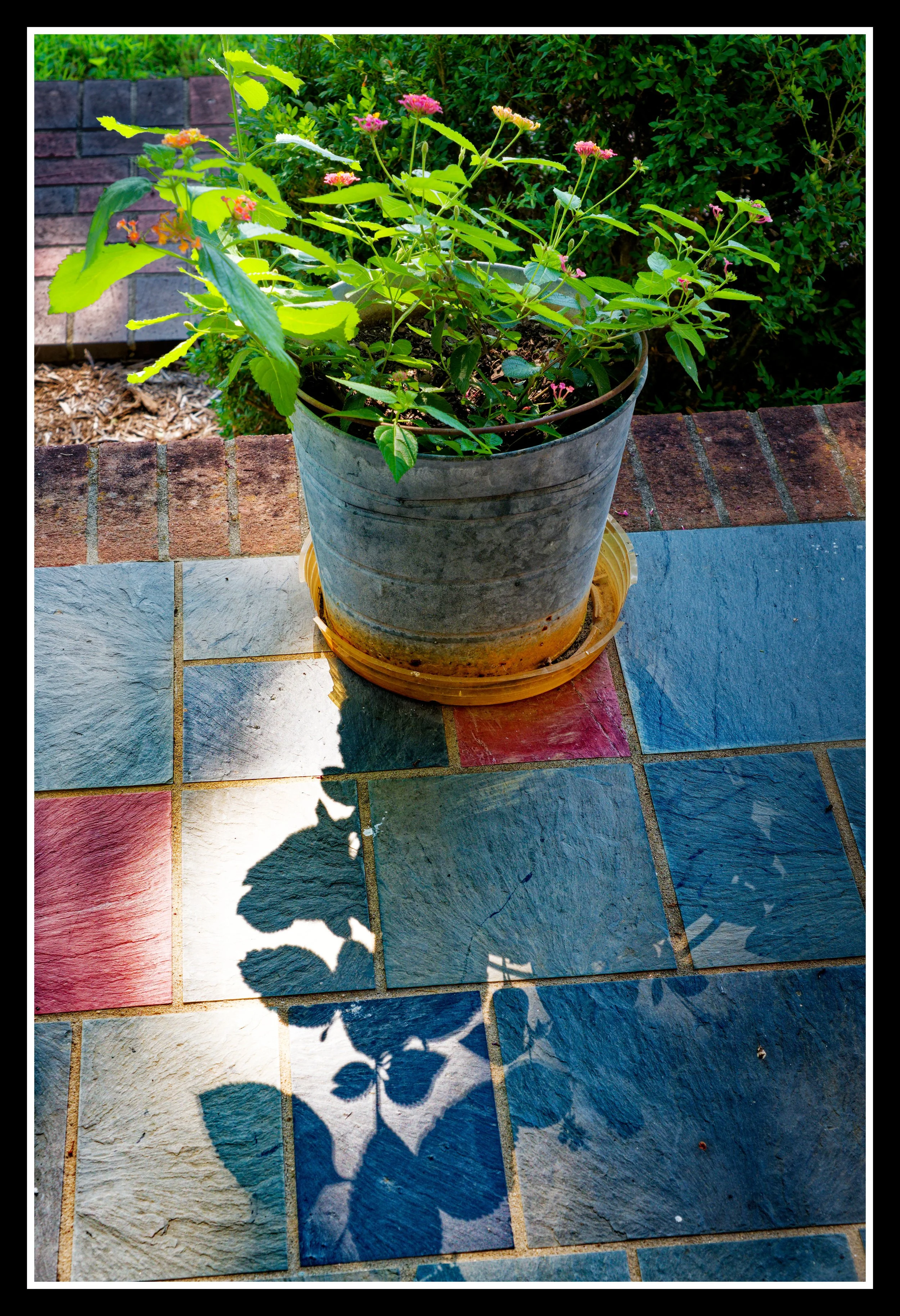 DSC02831_DxO.jpg