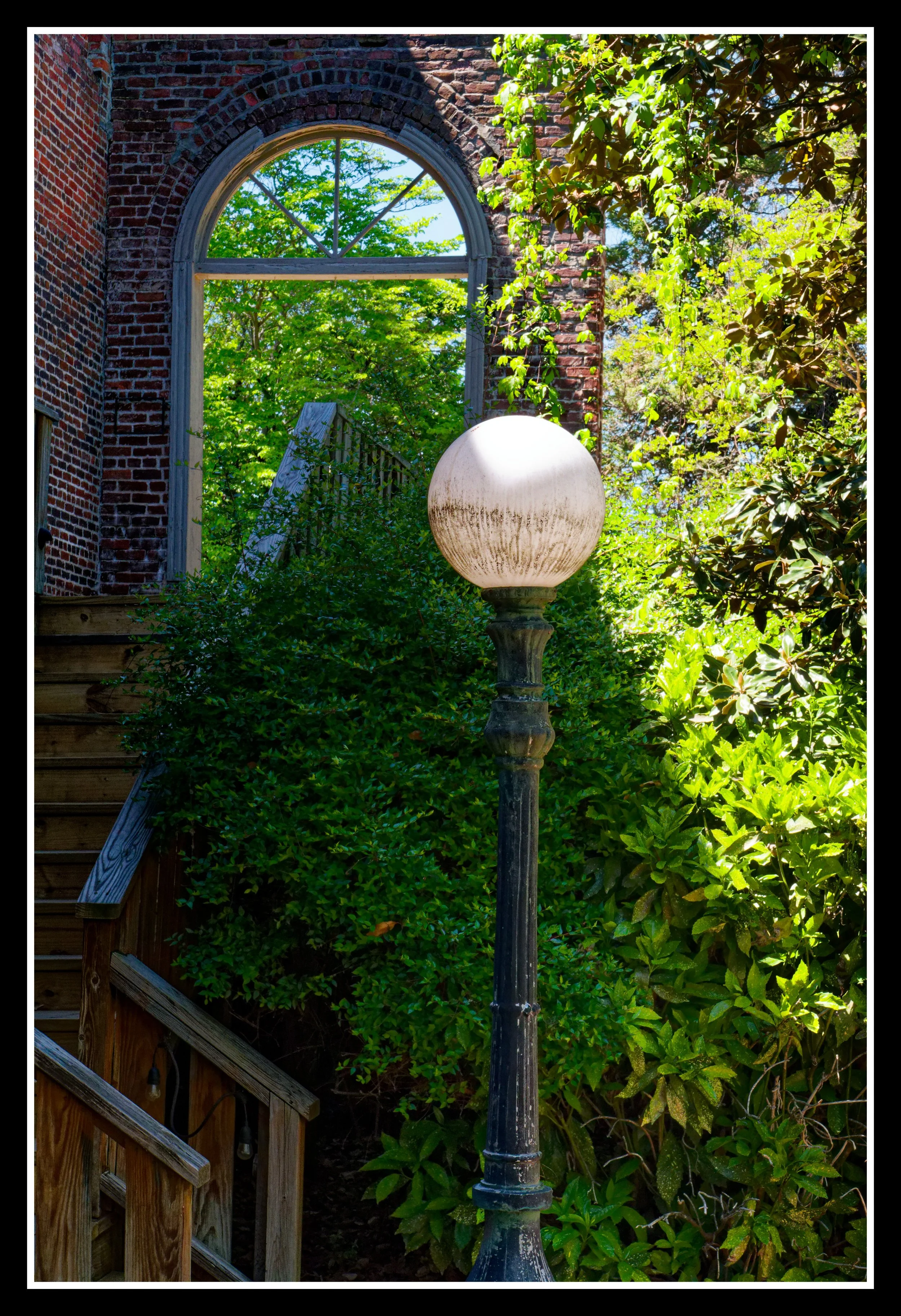 L1010721_DxO.jpg