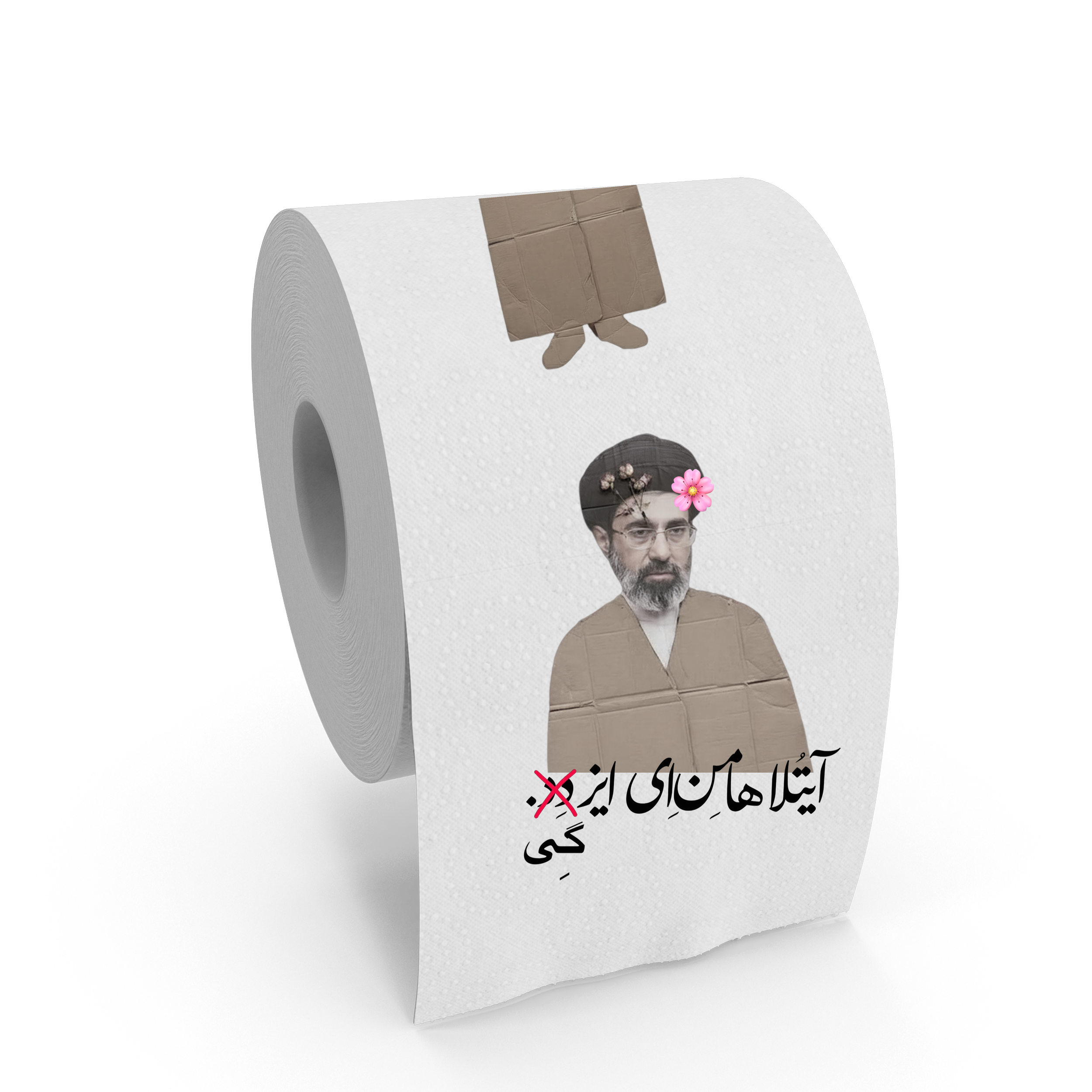 Khamenei Is Gay Toilet Paper [USD $1 per roll]