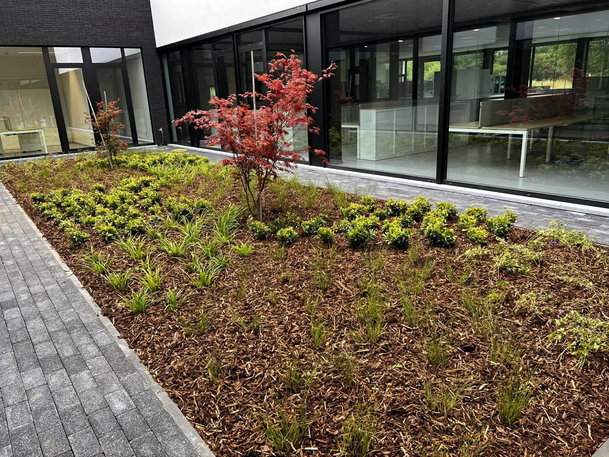 Bedrfijsgebouw met nieuw aangeplante binnencour. Pefect om kleine struiken en bomen te laten groeien in een werkomgeving.