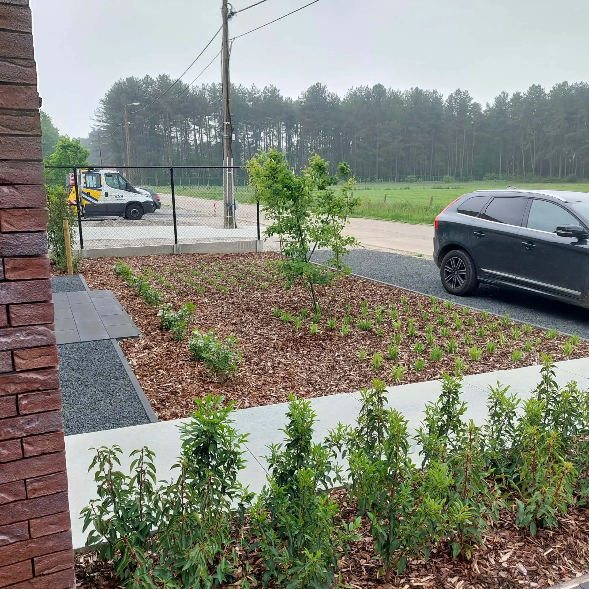 project: tuin aanplanting, locatie: Averbode Tuin met planten, een zwarte auto, een hek, elektriciteitspaal, bomen op de achtergrond en een bewolkte lucht.