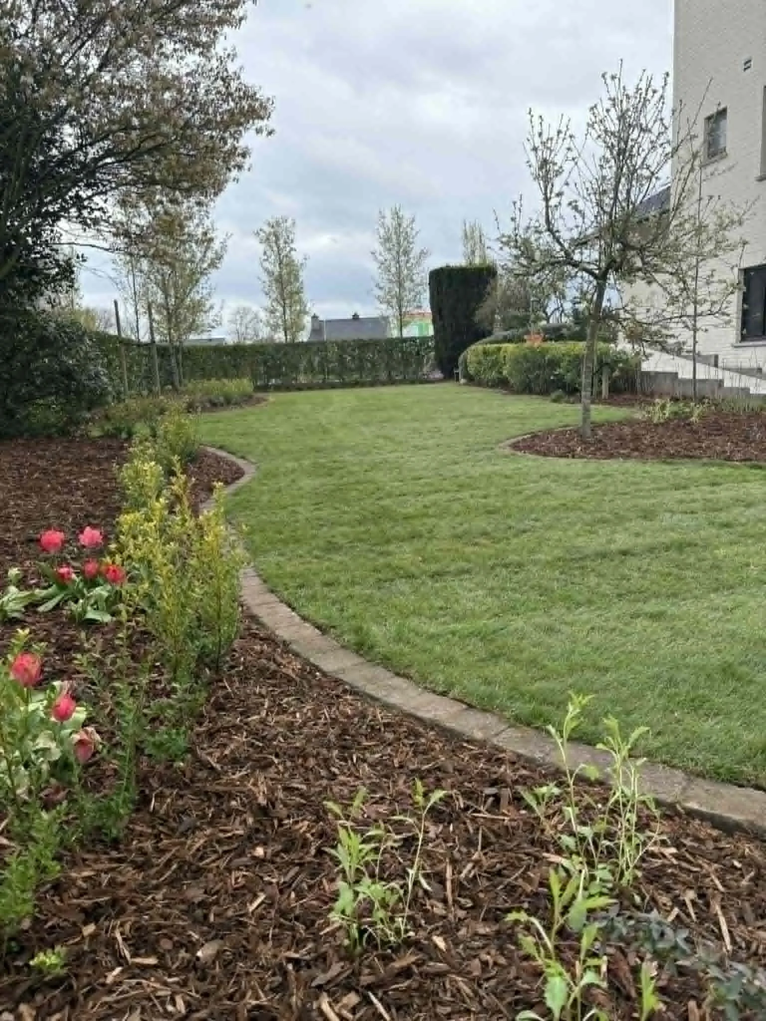 project: tuinaanleg, locatie: engsbergen Nieuw aangelegde tuin in Engsbergen. Gras en beplanting van verschillende bloemen
