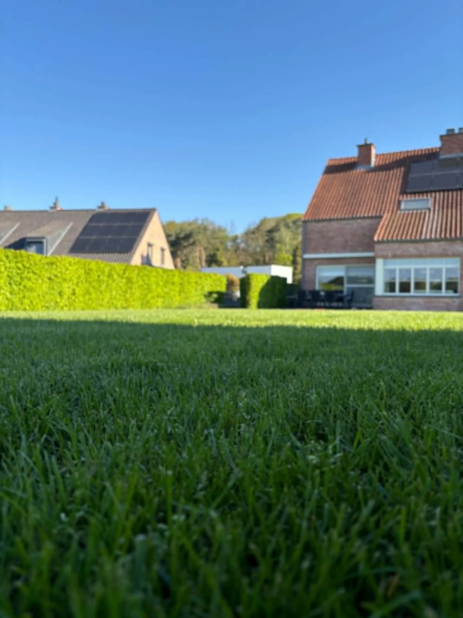 Groene tuin met een gazon en een rij heggen voor een huis met zonnepanelen op het dak en een grote slaapkamer met ramen.
project: Gezon aanleggen, tuinarchitect
locatie: Tessenderlo, Diest, Engsbergen