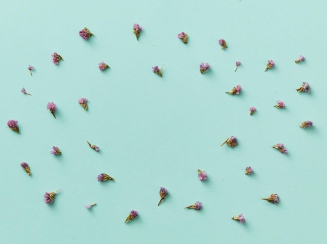 Corolle di fiori recisi che formano un cerchio.