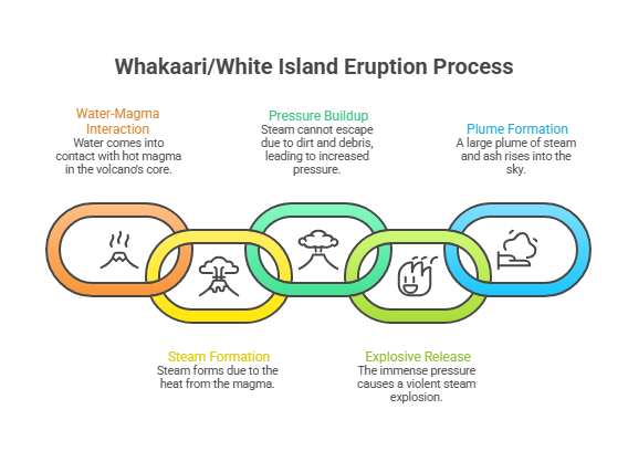 Infographic showing the Whakaari/White Island eruption process