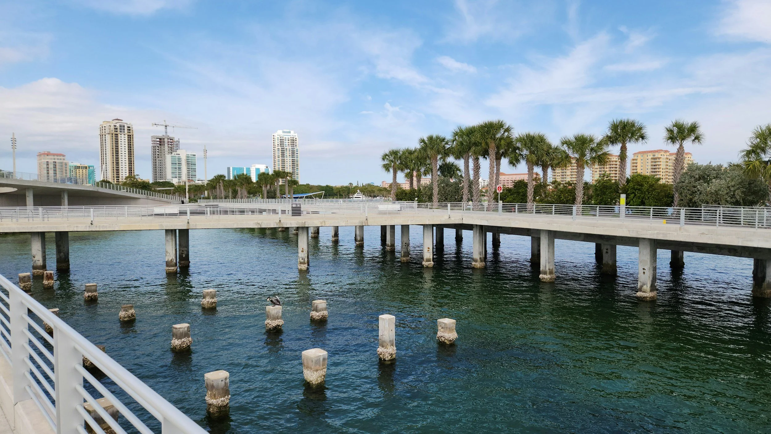 A waterfront scene with a concrete pier and white railing, calm water with concrete pillars, palm trees lining the shore, and a city skyline with tall buildings in the background under a partly cloudy sky.