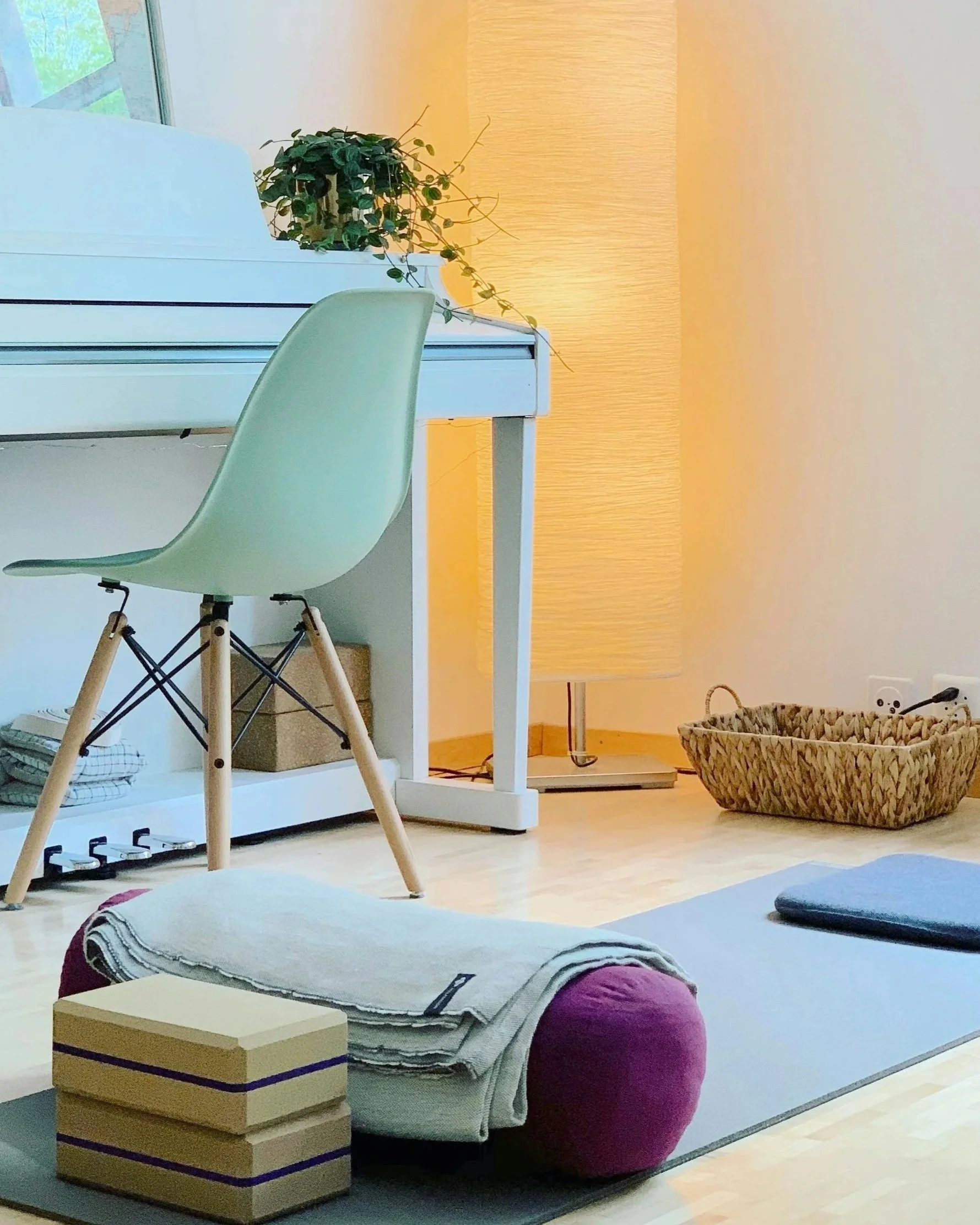 In-Home Follow Up Visit