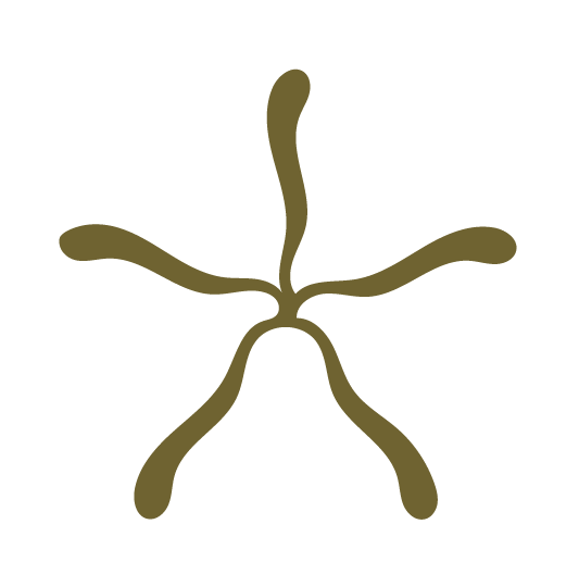 Illustration of a worm-like creature with a central body and five extending arms.