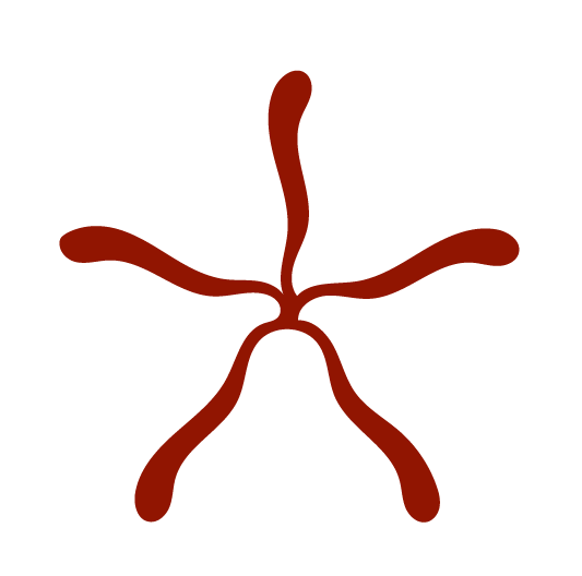 Illustration of a star-shaped organism with six elongated arms, colored in red, on a black background.