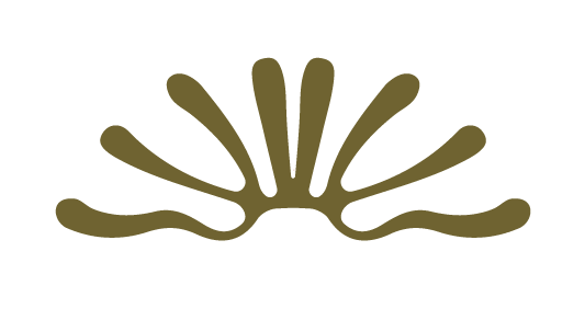 Green ribbon with a gold star and the text 'Happy Holidays' in white.