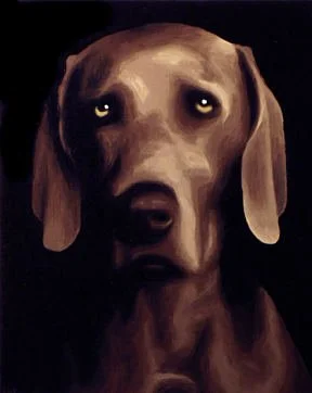 dog43.jpg