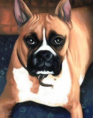 dog1.jpg