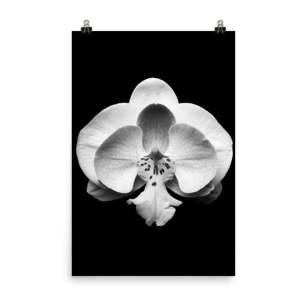 https://i.etsystatic.com/16519884/r/il/1e7174/2819501889/il_fullxfull.2819501889_cdjl.jpg