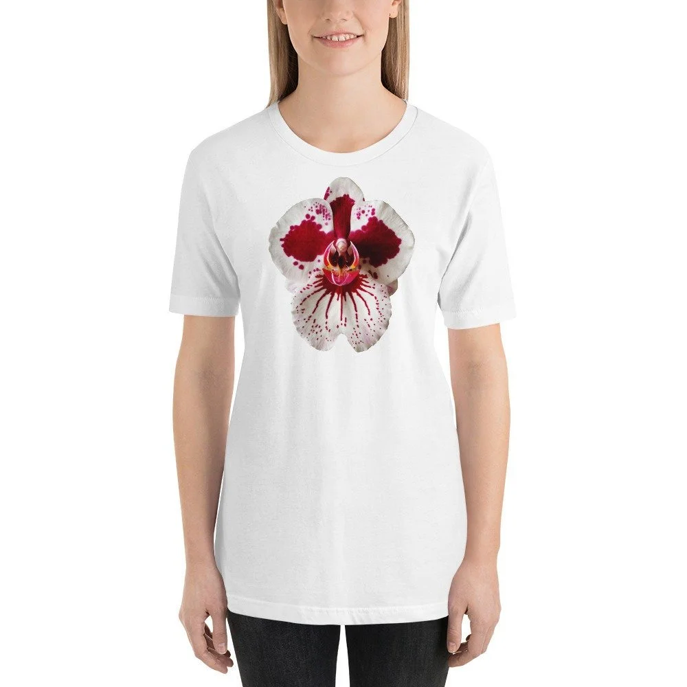 https://i.etsystatic.com/16519884/r/il/60da25/2051889644/il_fullxfull.2051889644_nb3d.jpg