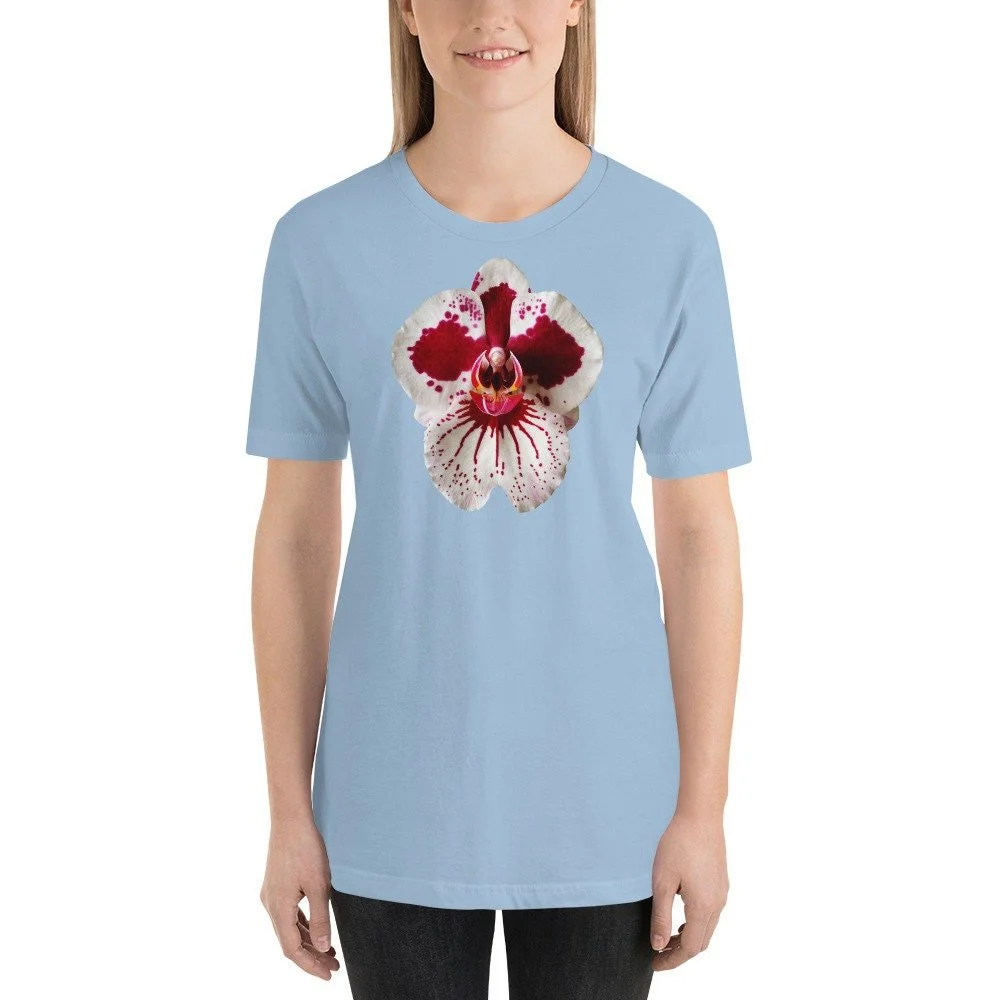 https://i.etsystatic.com/16519884/r/il/0cfa15/2051889500/il_fullxfull.2051889500_6425.jpg
