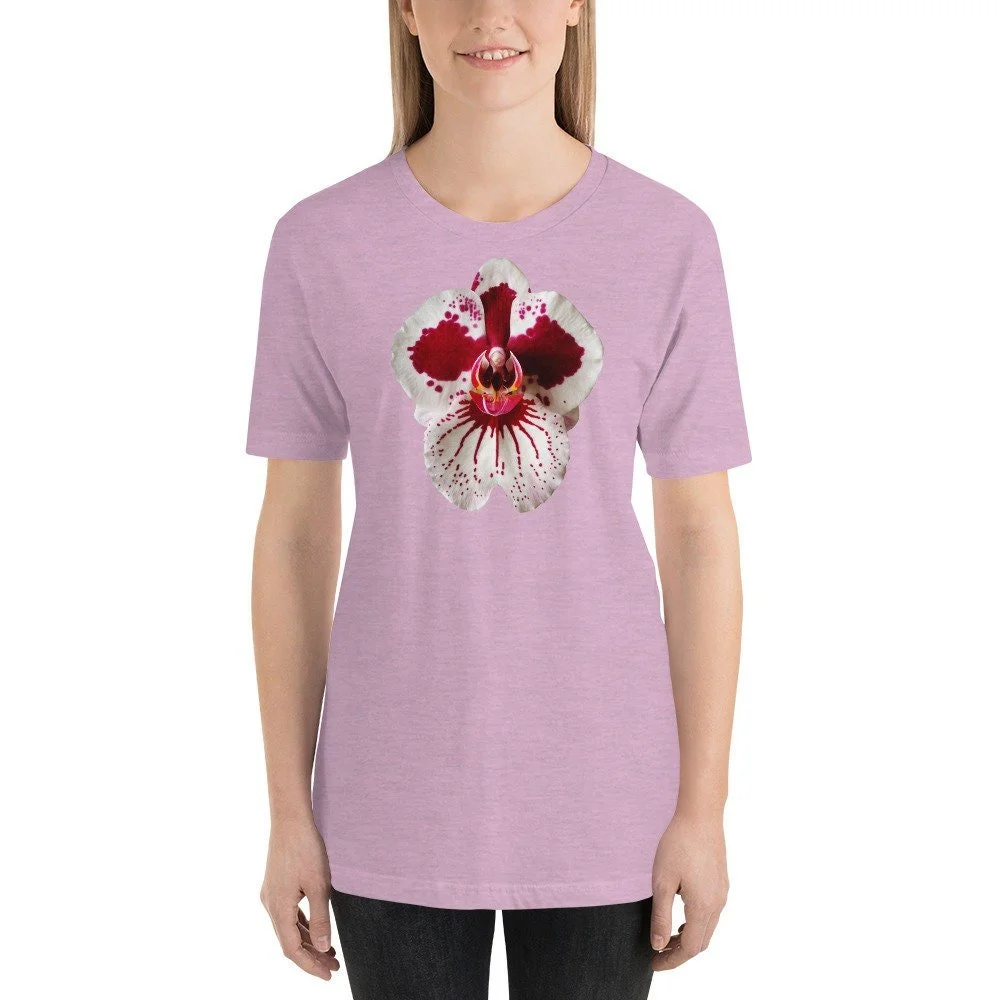 https://i.etsystatic.com/16519884/r/il/f0d751/2051889370/il_fullxfull.2051889370_5g2w.jpg