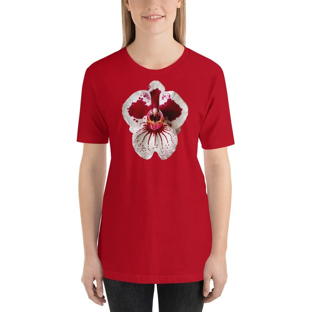 https://i.etsystatic.com/16519884/r/il/f75e72/2051889308/il_fullxfull.2051889308_5ues.jpg