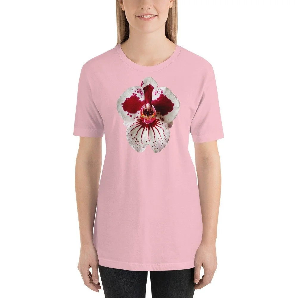 https://i.etsystatic.com/16519884/r/il/f06186/2051889234/il_fullxfull.2051889234_pmlh.jpg
