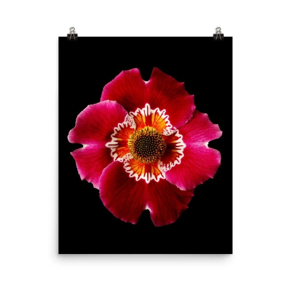 https://i.etsystatic.com/16519884/r/il/dc4112/2263109945/il_fullxfull.2263109945_pvdd.jpg