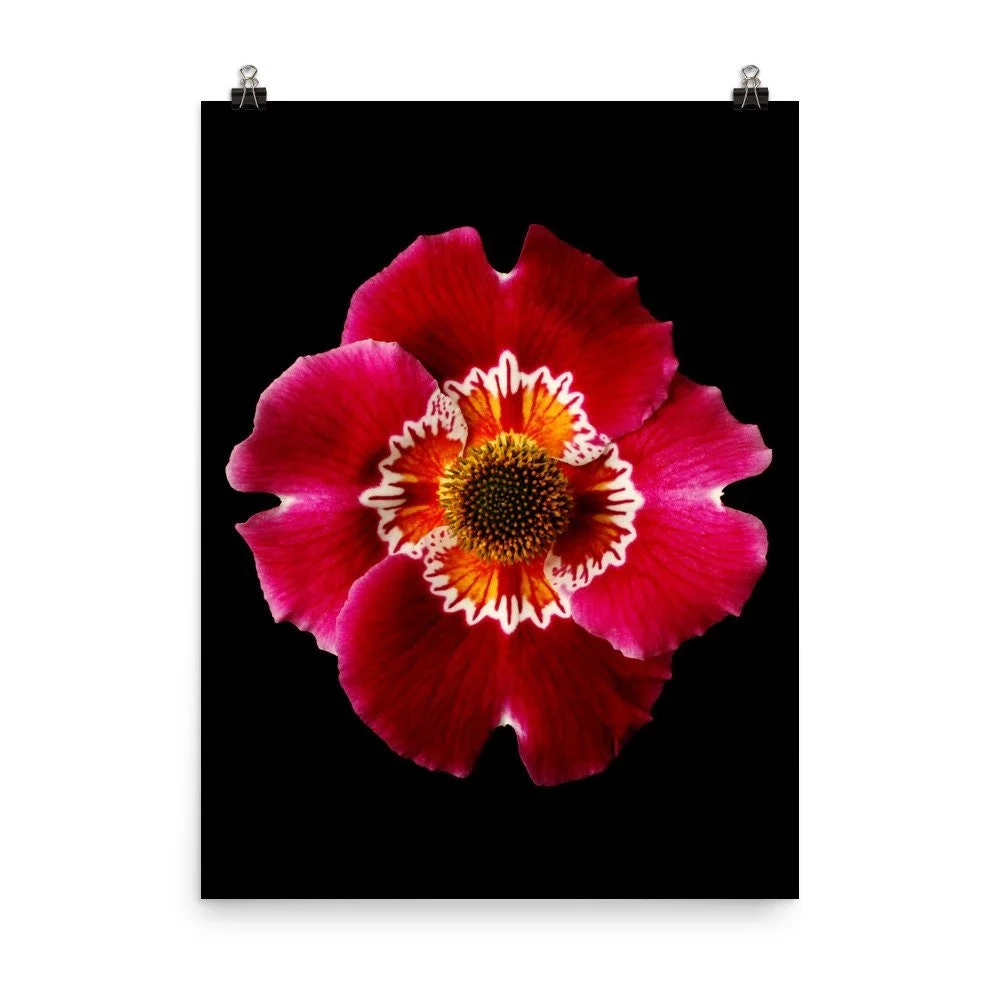 https://i.etsystatic.com/16519884/r/il/9f07dc/2263109647/il_fullxfull.2263109647_jnuf.jpg