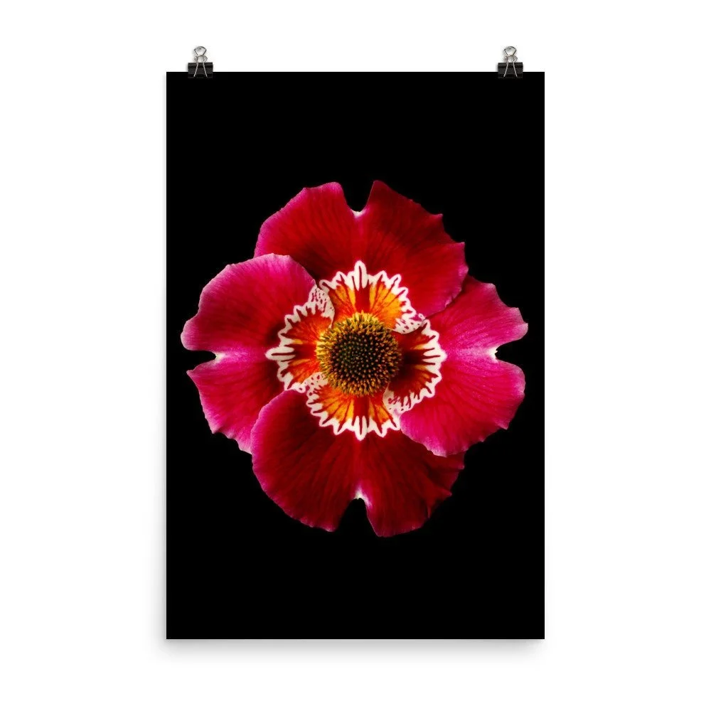 https://i.etsystatic.com/16519884/r/il/9c34ee/2215511580/il_fullxfull.2215511580_i2xx.jpg
