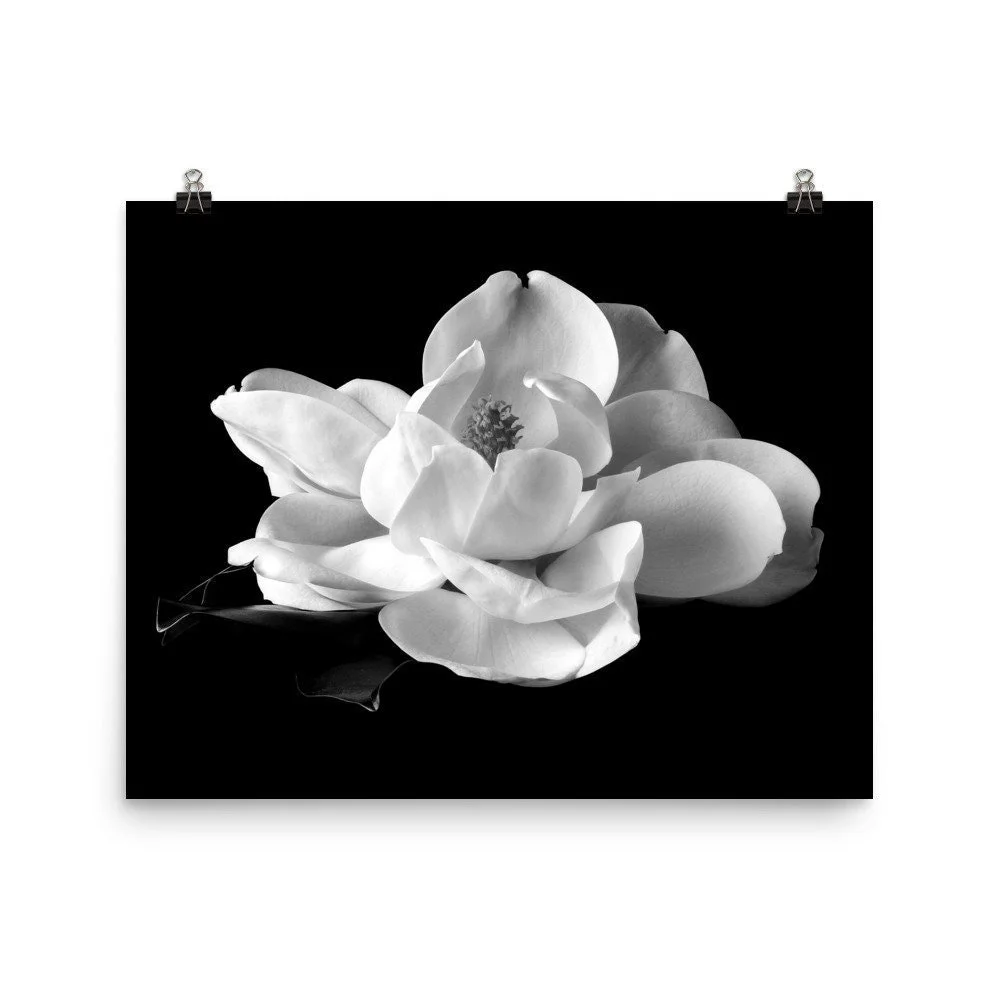 https://i.etsystatic.com/16519884/r/il/6fbb7c/2460921526/il_fullxfull.2460921526_fkui.jpg