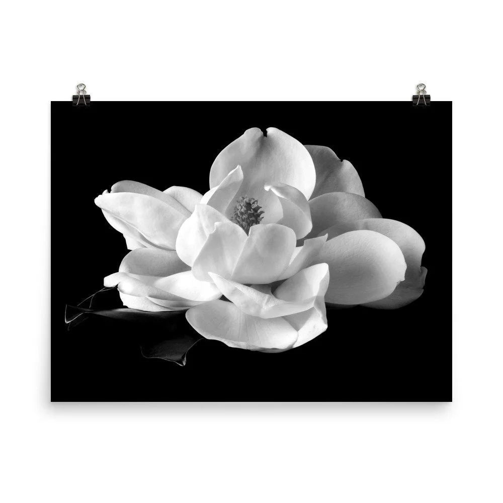 https://i.etsystatic.com/16519884/r/il/36348b/2508586785/il_fullxfull.2508586785_i2n6.jpg