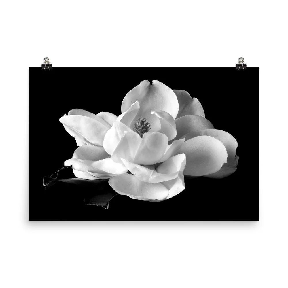 https://i.etsystatic.com/16519884/r/il/49a697/2508586733/il_fullxfull.2508586733_tr4y.jpg