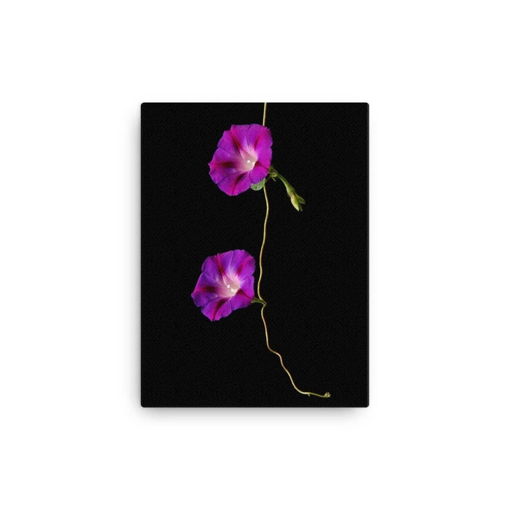 https://i.etsystatic.com/16519884/r/il/948a63/2139054942/il_fullxfull.2139054942_6z27.jpg