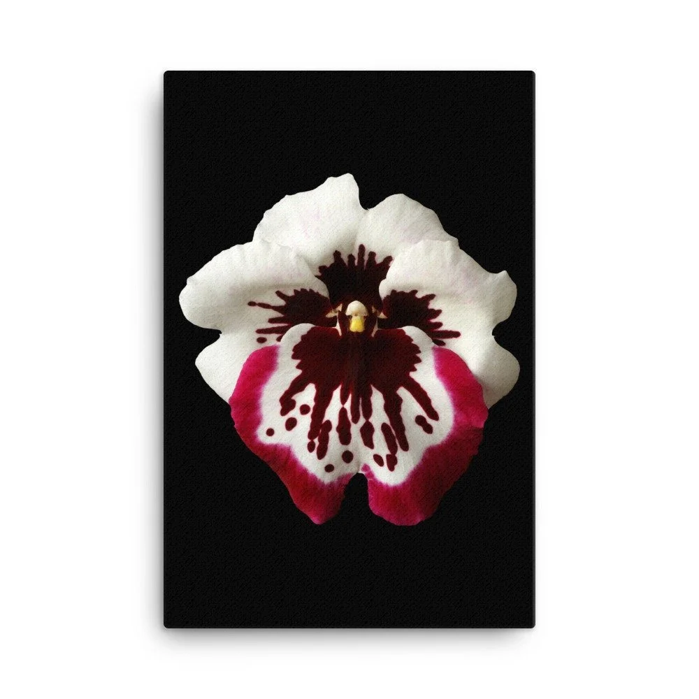 https://i.etsystatic.com/16519884/r/il/9a1e8e/2184613169/il_fullxfull.2184613169_f315.jpg