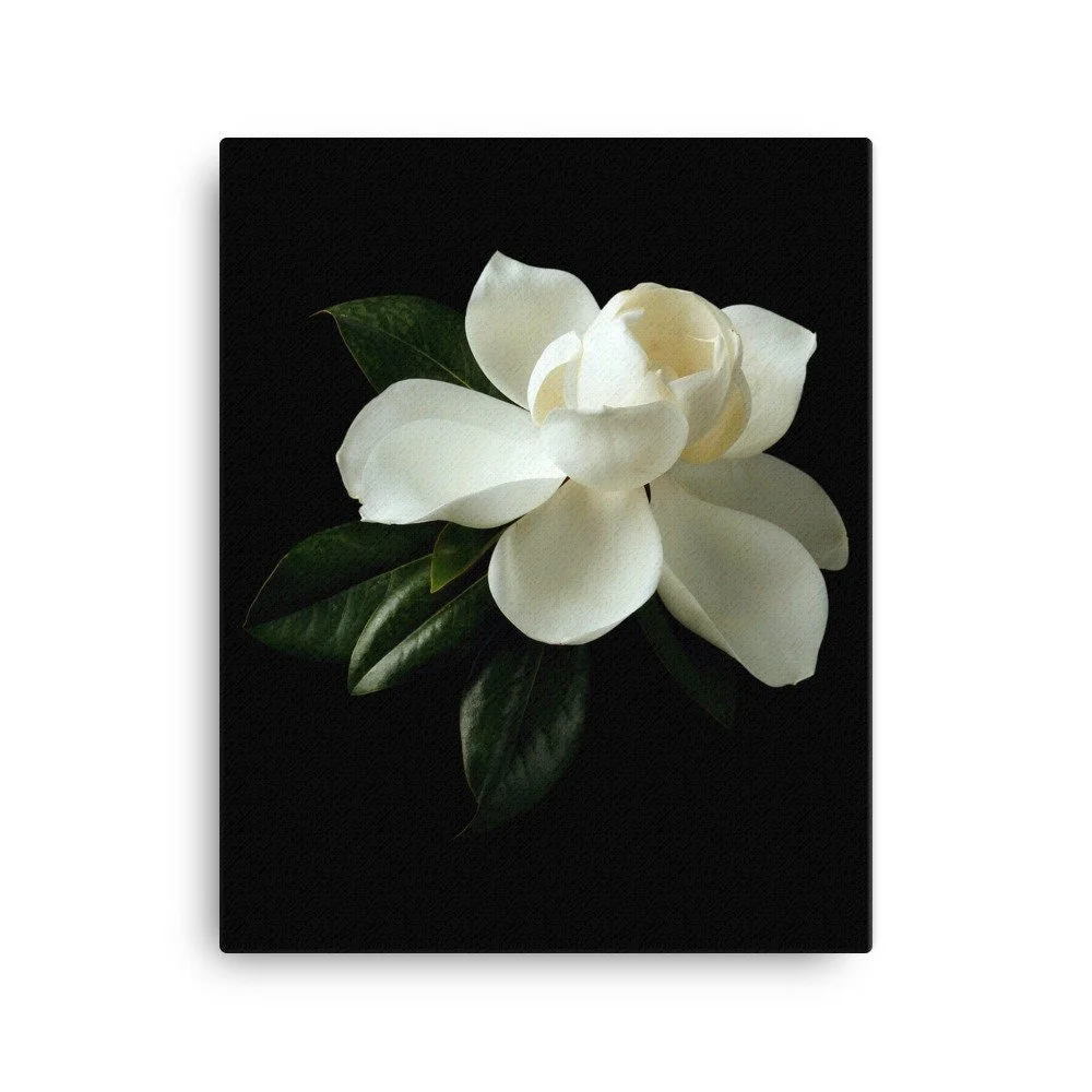 https://i.etsystatic.com/16519884/r/il/383760/2137484066/il_fullxfull.2137484066_jp3k.jpg
