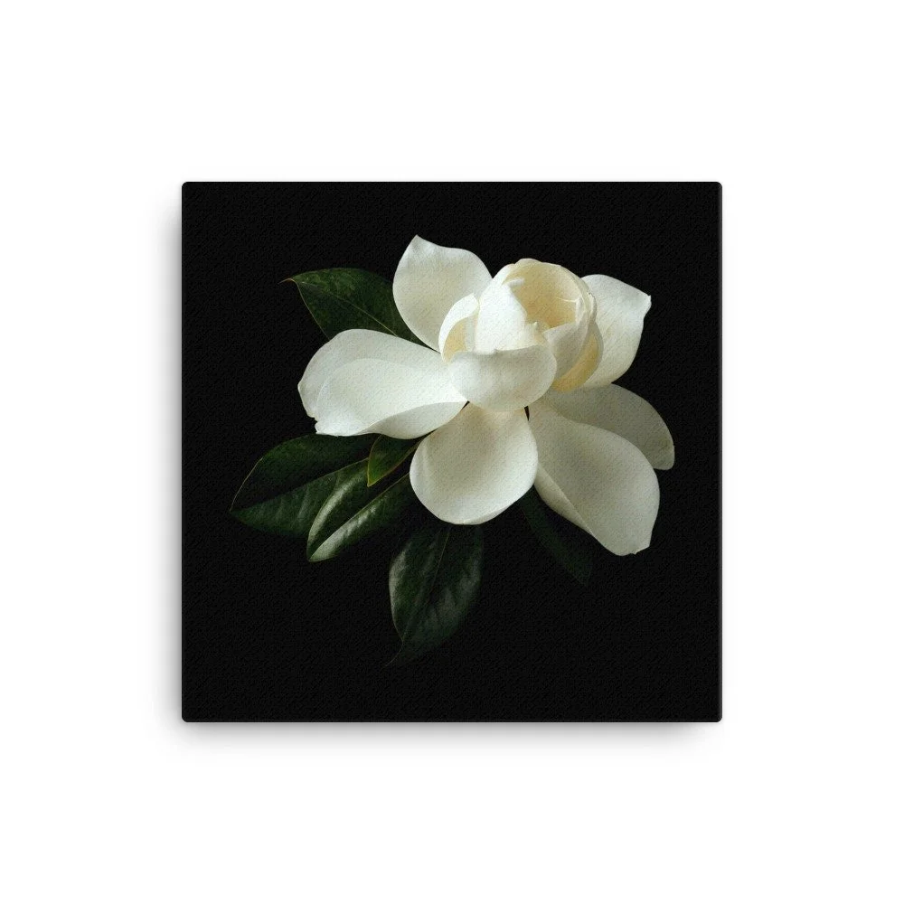 https://i.etsystatic.com/16519884/r/il/ee12d3/2137483976/il_fullxfull.2137483976_a417.jpg