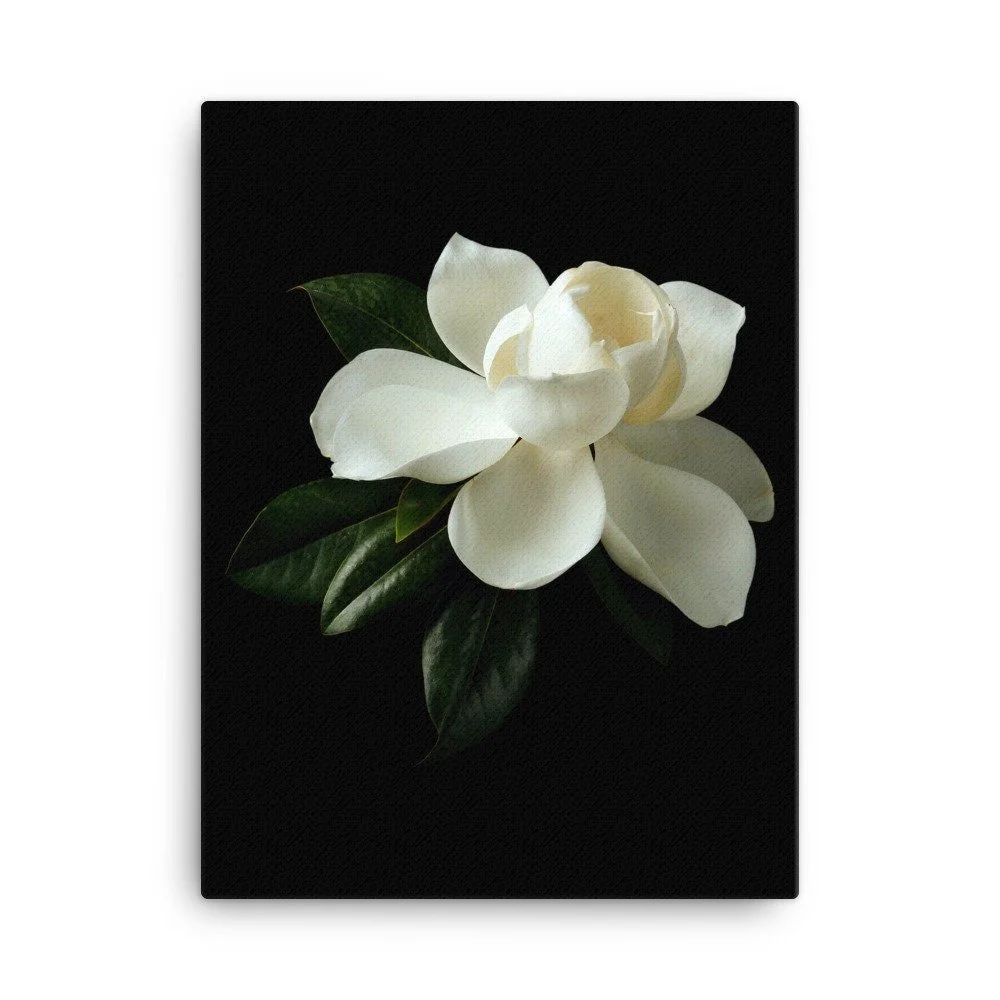 https://i.etsystatic.com/16519884/r/il/4c9cf5/2137483948/il_fullxfull.2137483948_askk.jpg
