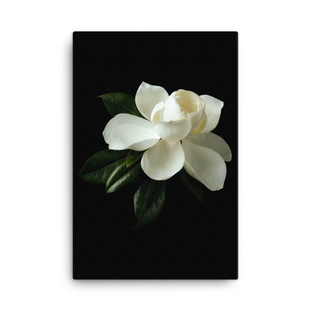 https://i.etsystatic.com/16519884/r/il/714c52/2185034801/il_fullxfull.2185034801_3lo6.jpg