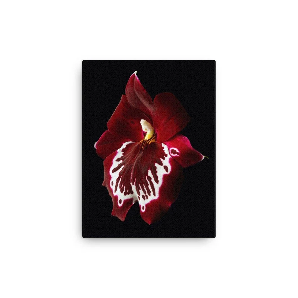 https://i.etsystatic.com/16519884/r/il/ad38be/2186587177/il_fullxfull.2186587177_6smi.jpg