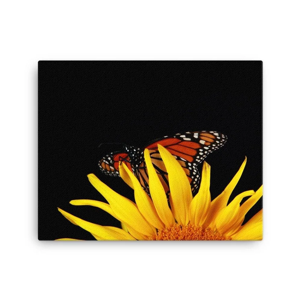 https://i.etsystatic.com/16519884/r/il/1242cb/2188047243/il_fullxfull.2188047243_3vf0.jpg