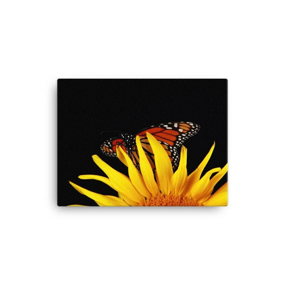 https://i.etsystatic.com/16519884/r/il/3d7ff9/2188046511/il_fullxfull.2188046511_5yoh.jpg