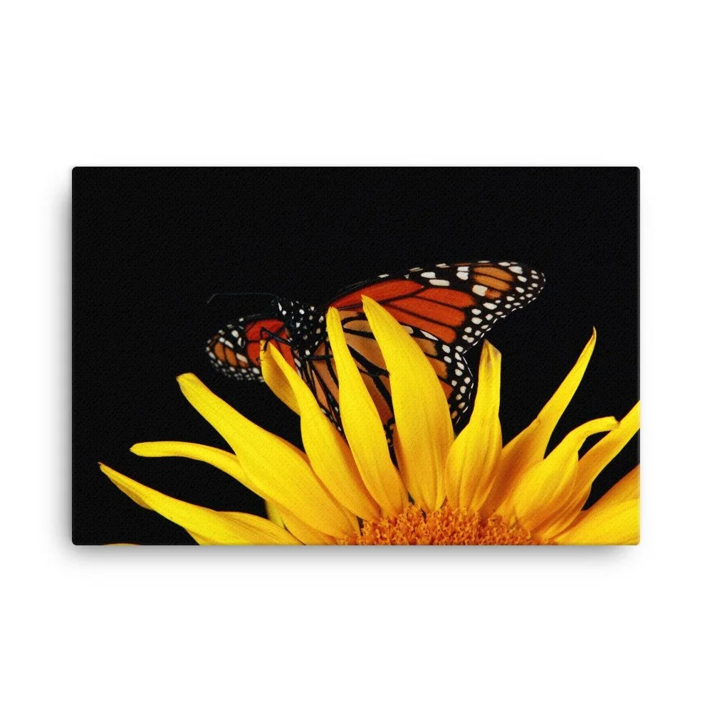 https://i.etsystatic.com/16519884/r/il/bb4c84/2140493792/il_fullxfull.2140493792_qc8m.jpg