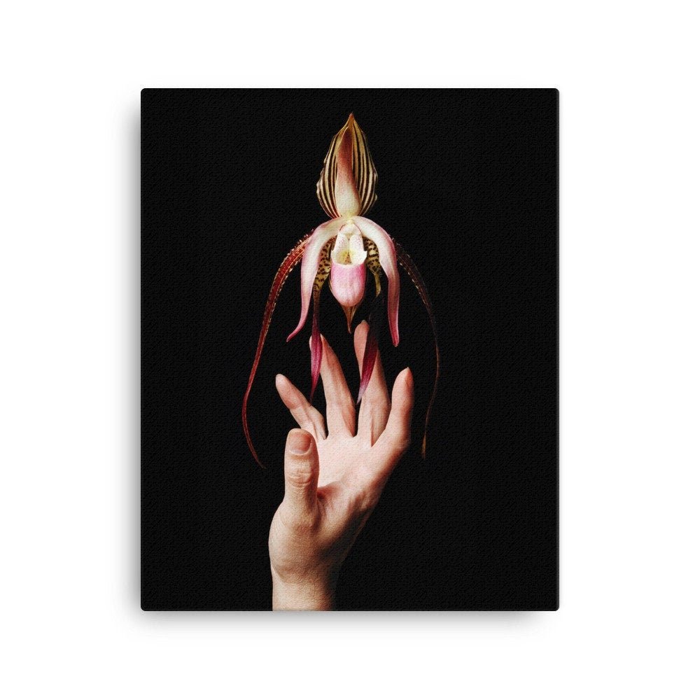 https://i.etsystatic.com/16519884/r/il/dd893c/2187999113/il_fullxfull.2187999113_mica.jpg
