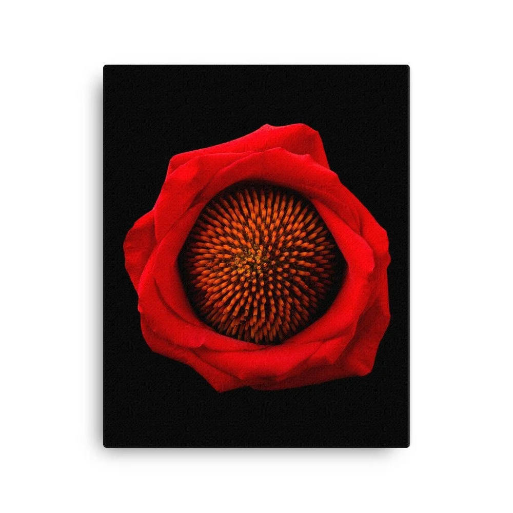 https://i.etsystatic.com/16519884/r/il/f5eb6c/2137760080/il_fullxfull.2137760080_s5eb.jpg