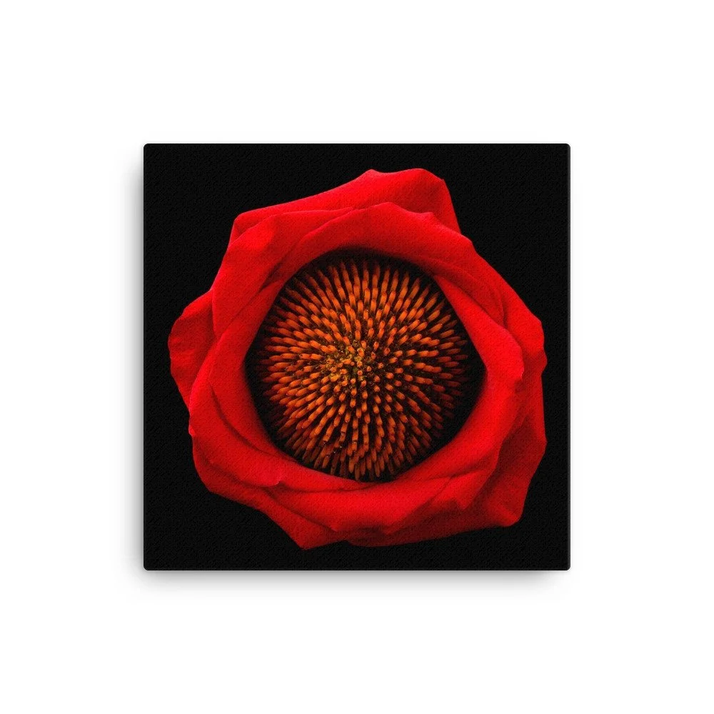 https://i.etsystatic.com/16519884/r/il/739ffa/2185311939/il_fullxfull.2185311939_fxng.jpg